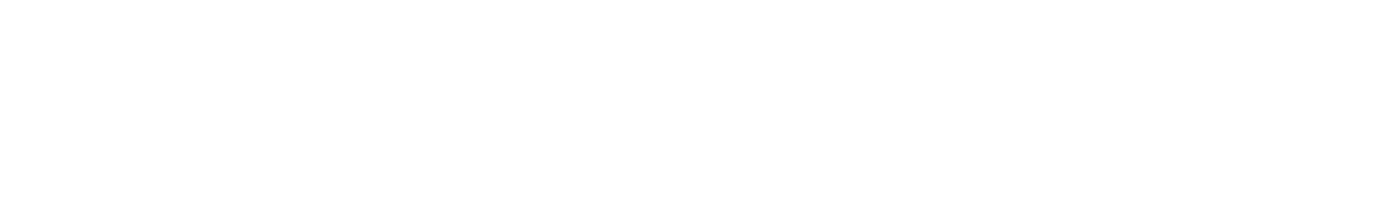 Zaubernuss